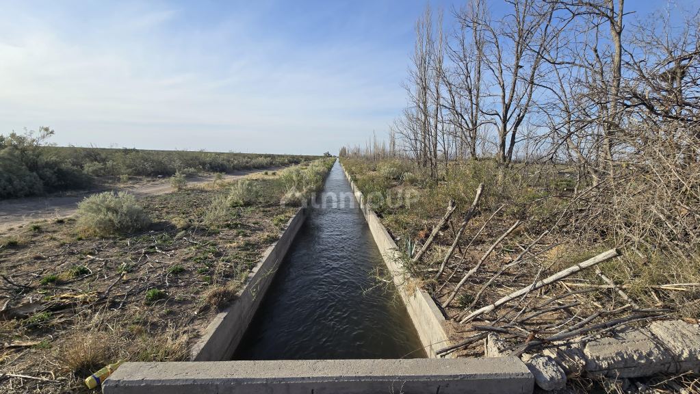 Campo en Venta en San Rafael, Mendoza