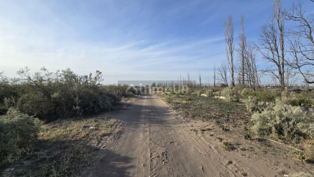 Campo en Venta en San Rafael, Mendoza