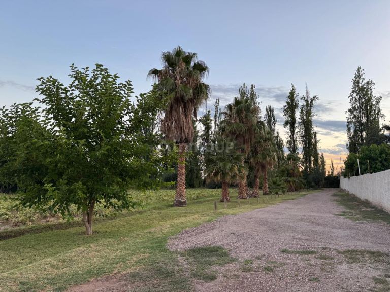 Finca en Venta en Maipu, Mendoza
