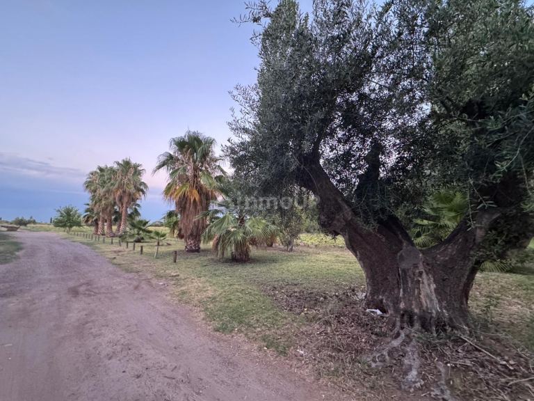 Finca en Venta en Maipu, Mendoza