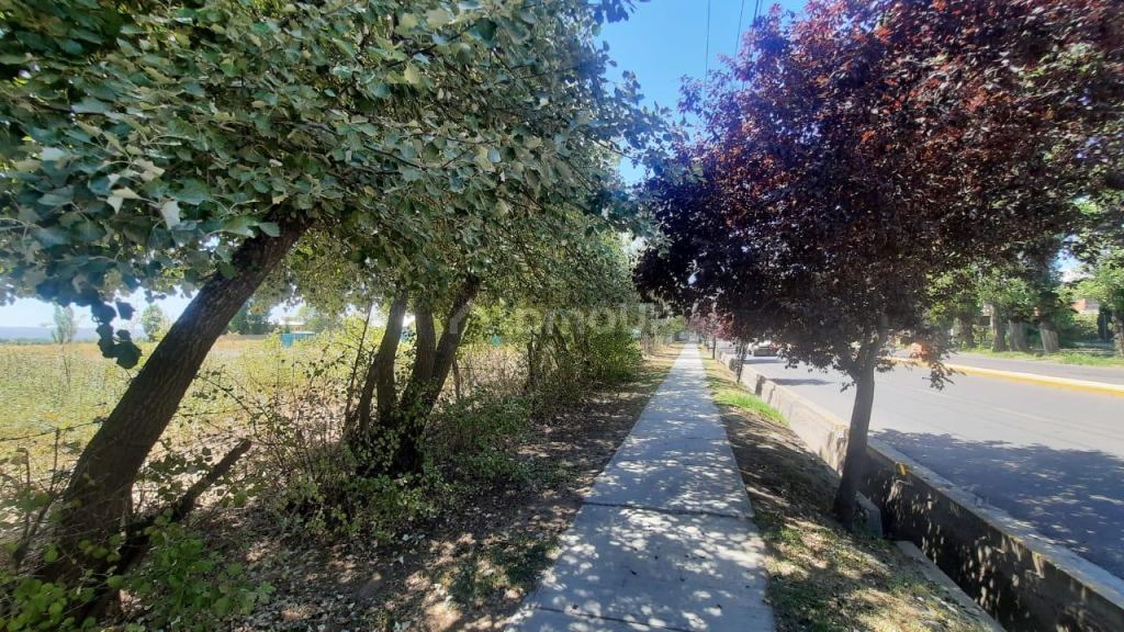 Lote en Venta en Tupungato, Mendoza