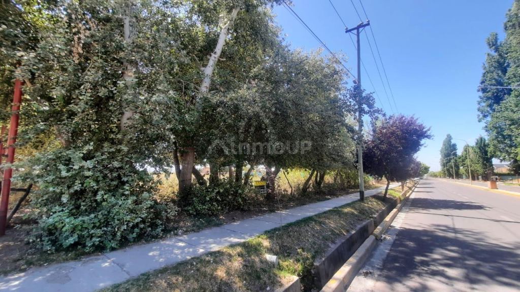 Lote en Venta en Tupungato, Mendoza