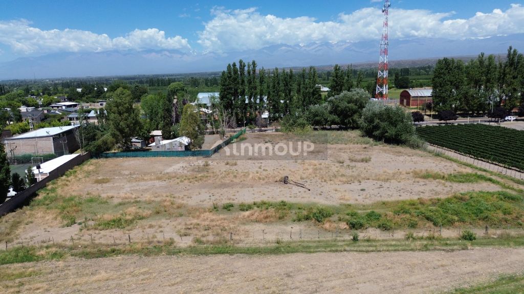 Lote en Venta en Tupungato, Mendoza