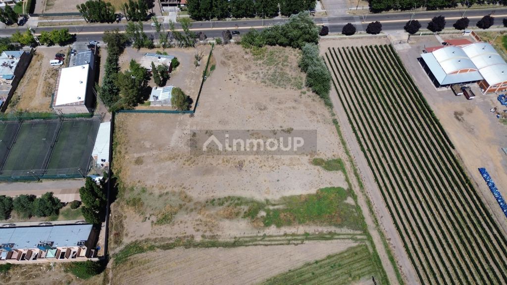 Lote en Venta en Tupungato, Mendoza