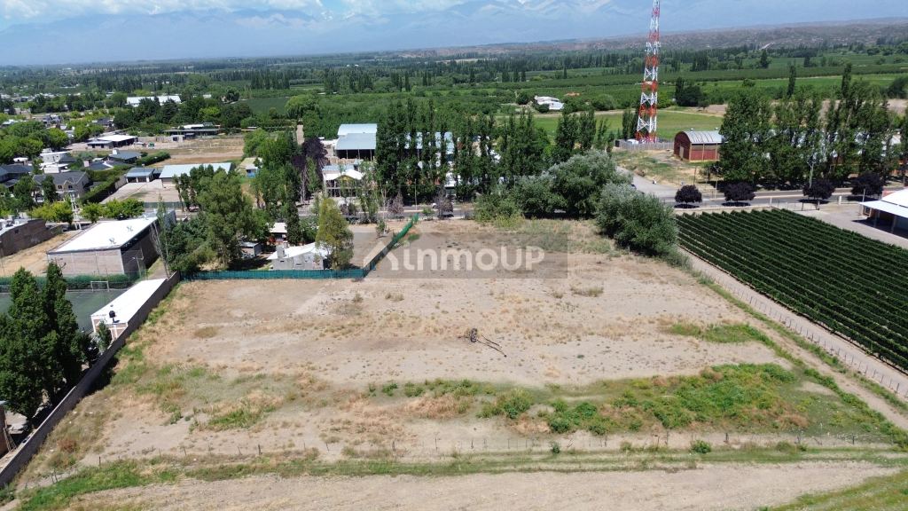 Lote en Venta en Tupungato, Mendoza