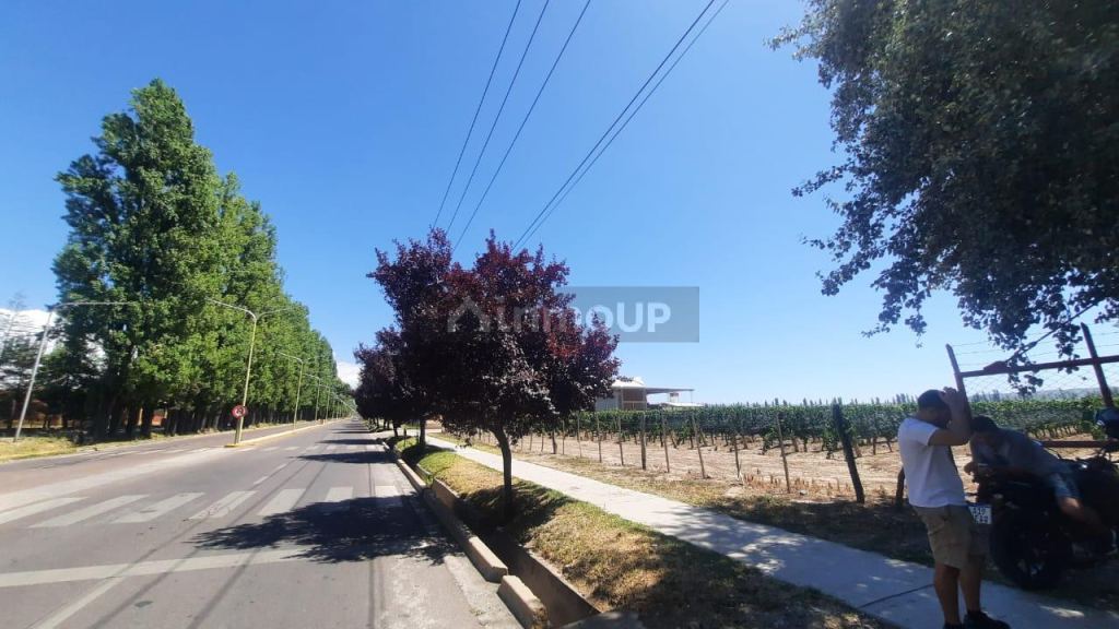 Lote en Venta en Tupungato, Mendoza