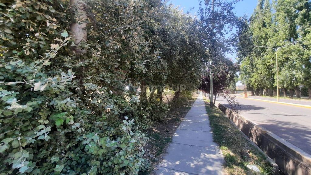 Lote en Venta en Tupungato, Mendoza
