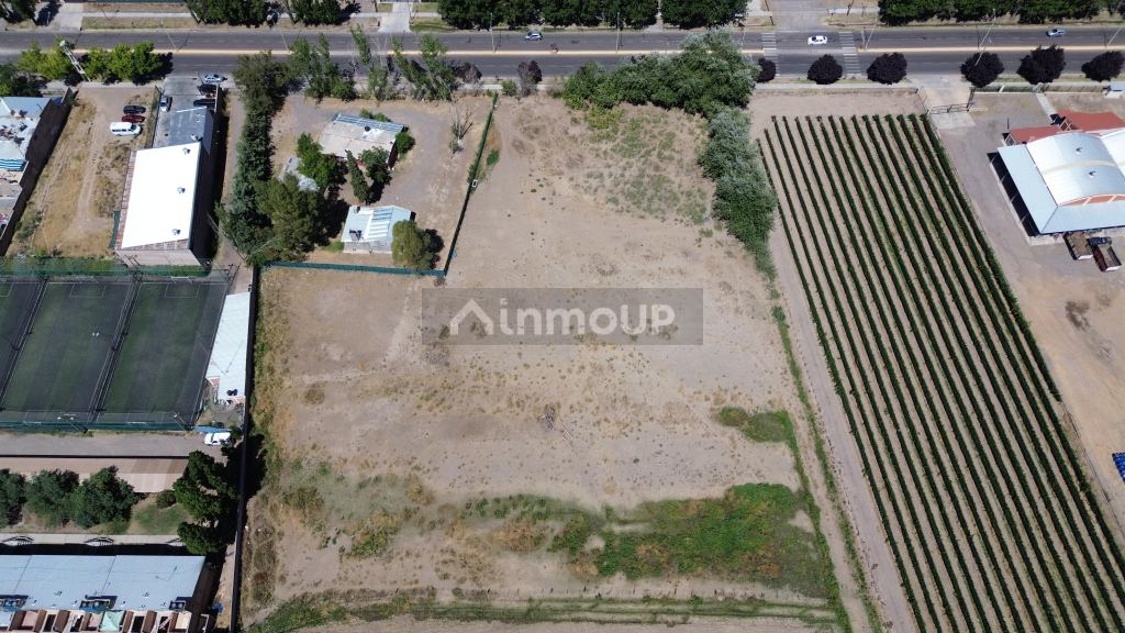Lote en Venta en Tupungato, Mendoza