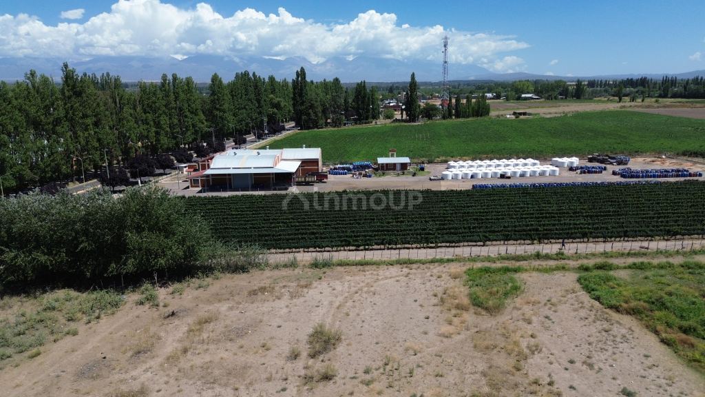 Lote en Venta en Tupungato, Mendoza