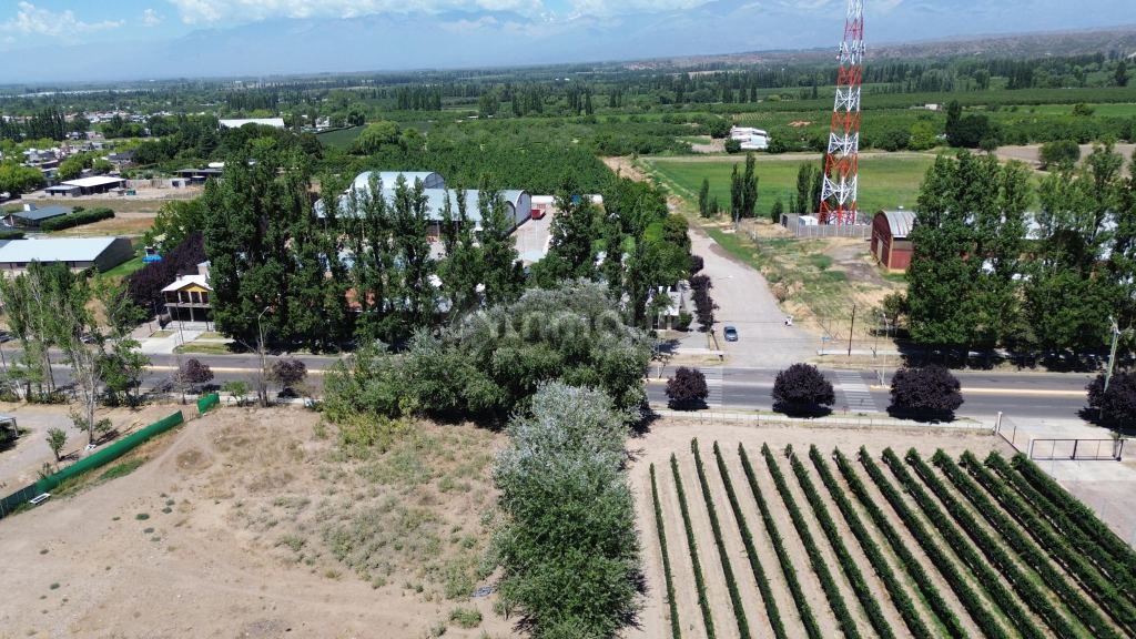 Lote en Venta en Tupungato, Mendoza