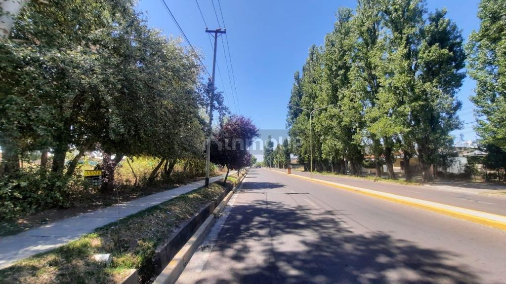 Lote en Venta en Tupungato, Mendoza
