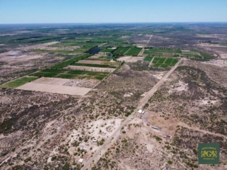 Fantástico campo (Ing Gustavo André, Lavalle) de 2000 hectáreas con todo el potencial