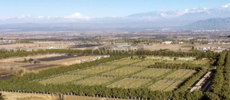 Lote en Venta en Lujan de Cuyo, Mendoza