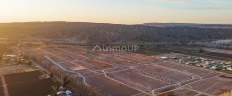Lote en Venta en Lujan de Cuyo, Mendoza