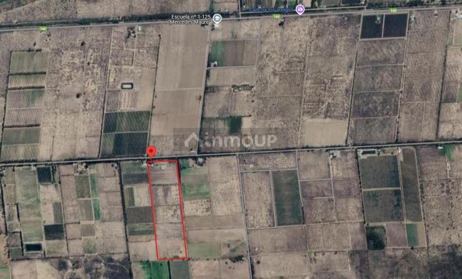 Campo en Venta en San Rafael, Mendoza