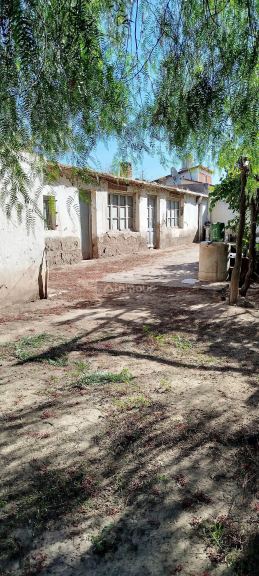 Campo en Venta en San Rafael, Mendoza