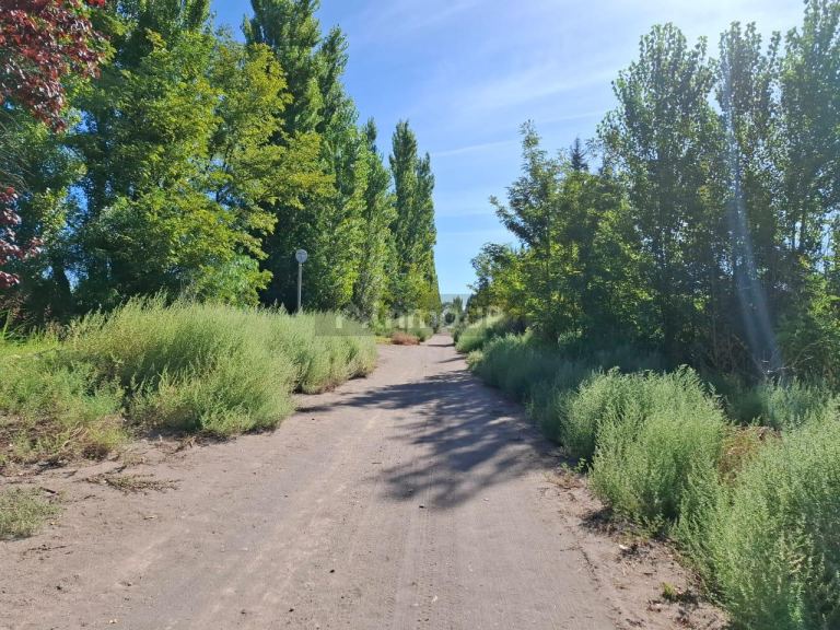 Campo en Venta en San Rafael, Mendoza