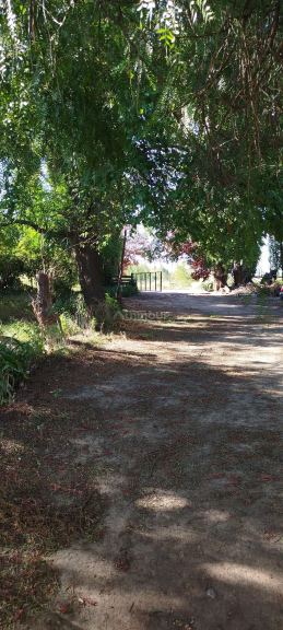 Campo en Venta en San Rafael, Mendoza
