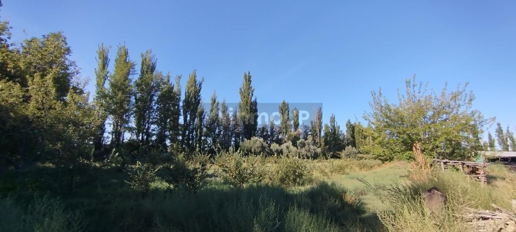 Campo en Venta en San Rafael, Mendoza