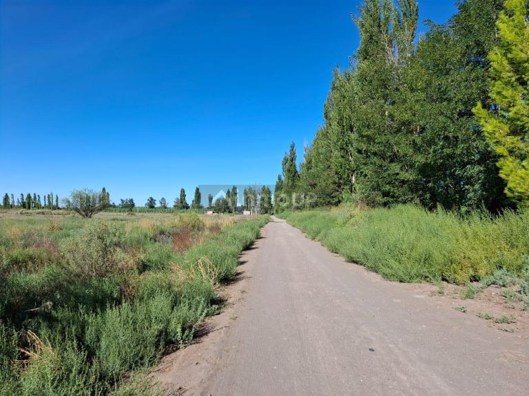 Campo en Venta en San Rafael, Mendoza