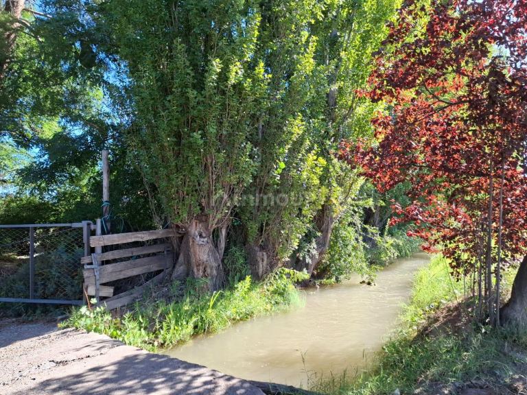 Campo en Venta en San Rafael, Mendoza