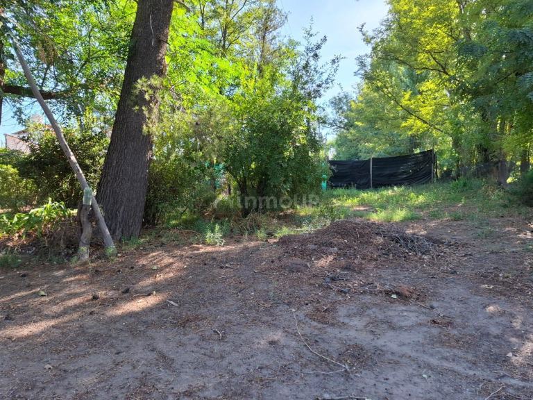 Campo en Venta en San Rafael, Mendoza