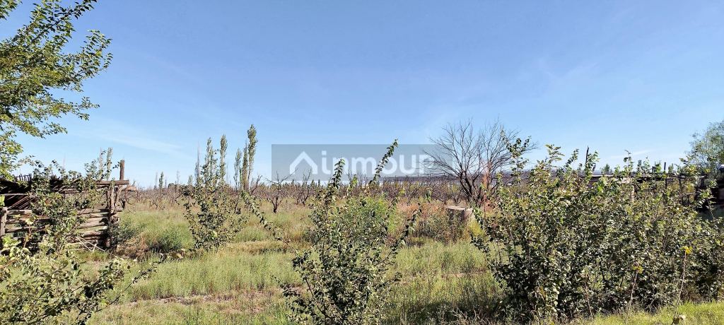 Campo en Venta en San Rafael, Mendoza