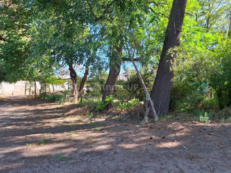 Campo en Venta en San Rafael, Mendoza