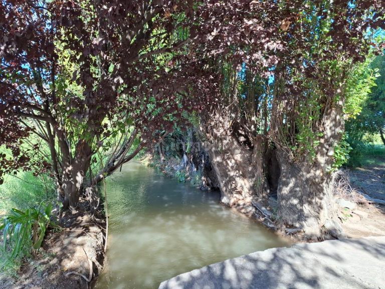 Campo en Venta en San Rafael, Mendoza