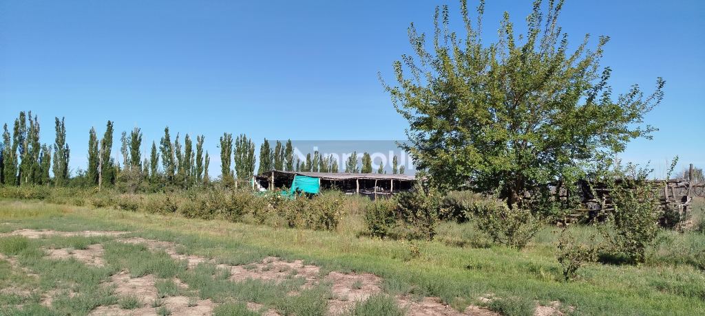 Campo en Venta en San Rafael, Mendoza
