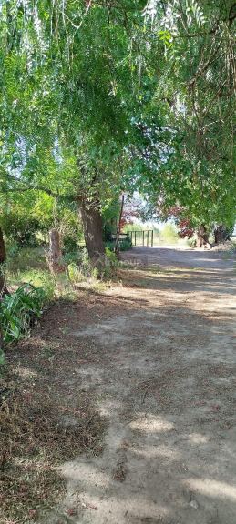Campo en Venta en San Rafael, Mendoza