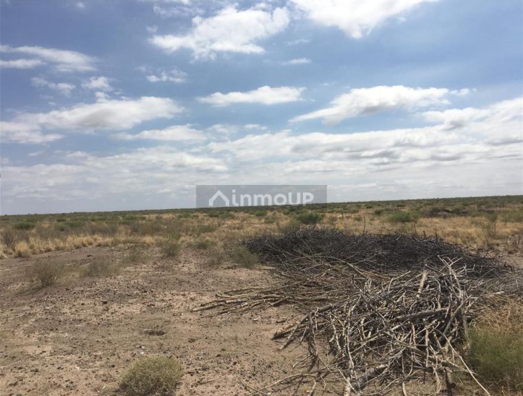 Finca en Venta en Santa Rosa, Mendoza