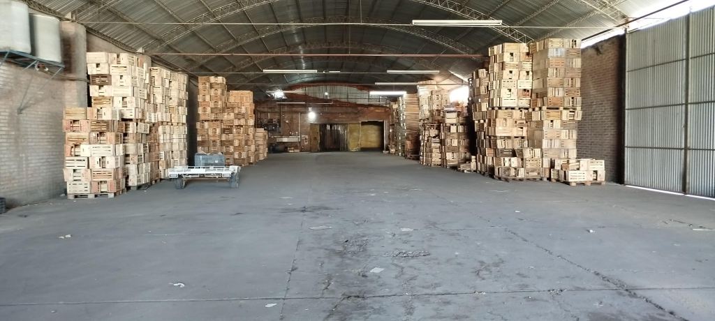 Negocio en Venta en San Rafael, Mendoza