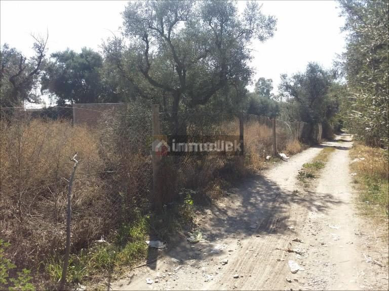 Lote en Venta en Maipu, Mendoza