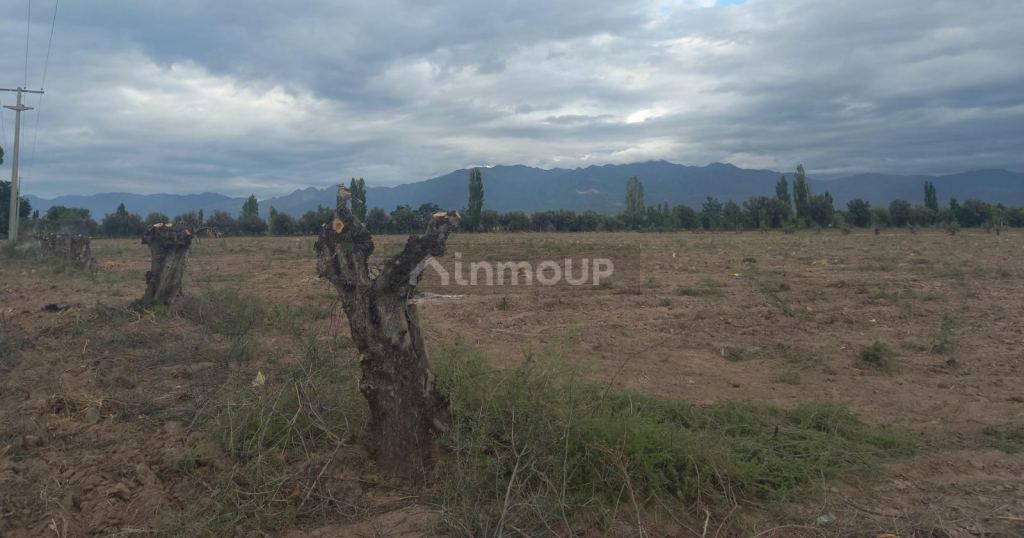 Lote en Venta en Lujan de Cuyo, Mendoza