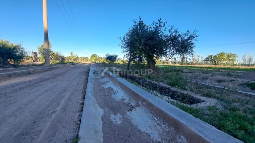 Lote en Venta en Lujan de Cuyo, Mendoza