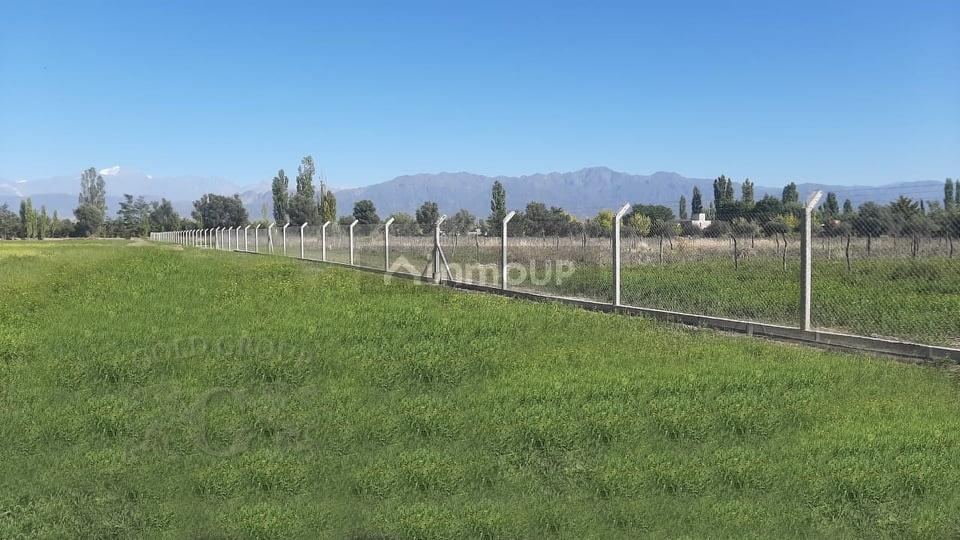 Lote en Venta en Lujan de Cuyo, Mendoza