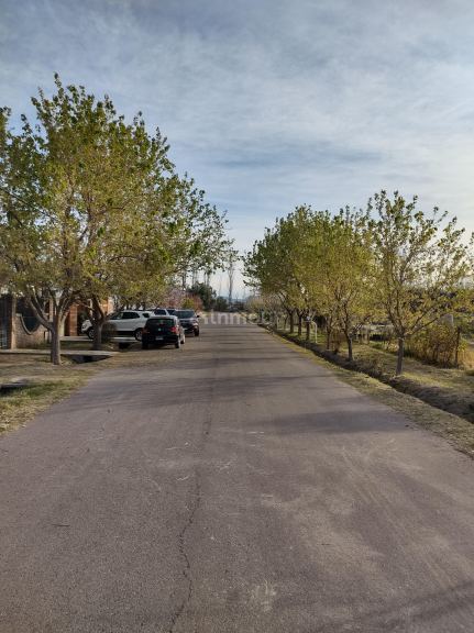 Lote en Venta en San Rafael, Mendoza