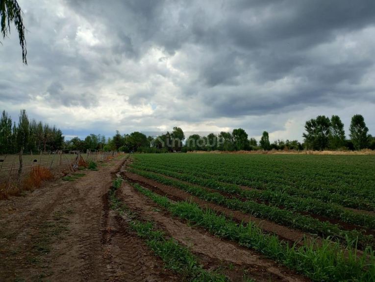 Finca en Venta en Tunuyan, Mendoza