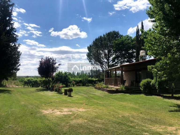 Finca en Venta en Tunuyan, Mendoza