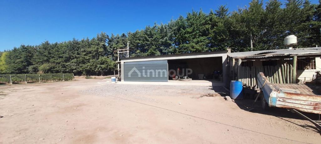 Finca en Venta en Lujan de Cuyo, Mendoza