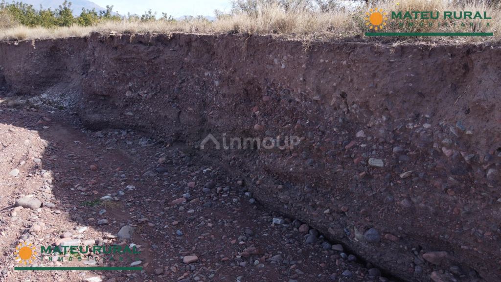 Finca en Venta en Tunuyan, Mendoza