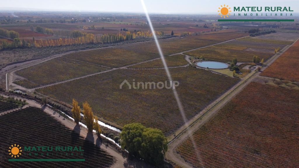 Finca en Venta en Tunuyan, Mendoza