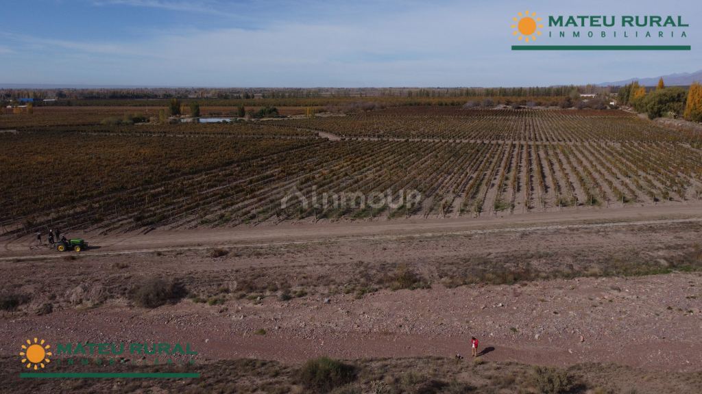Finca en Venta en Tunuyan, Mendoza
