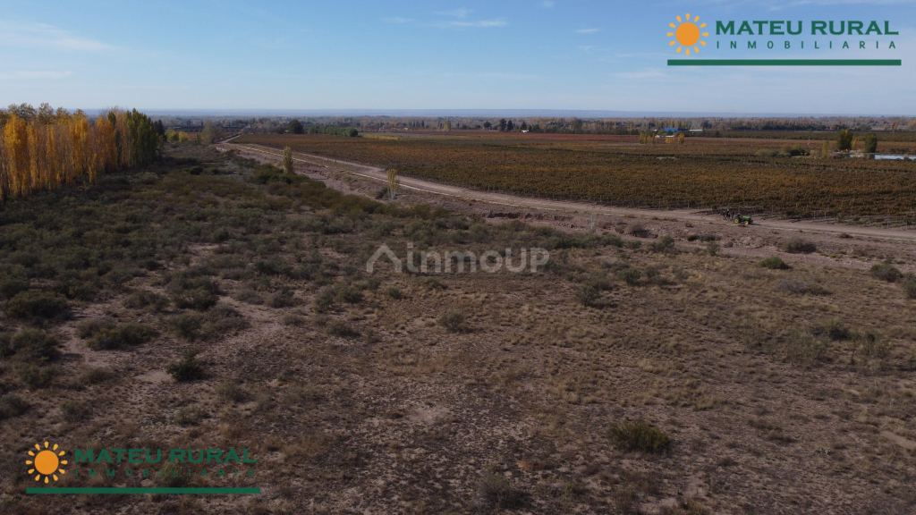 Finca en Venta en Tunuyan, Mendoza