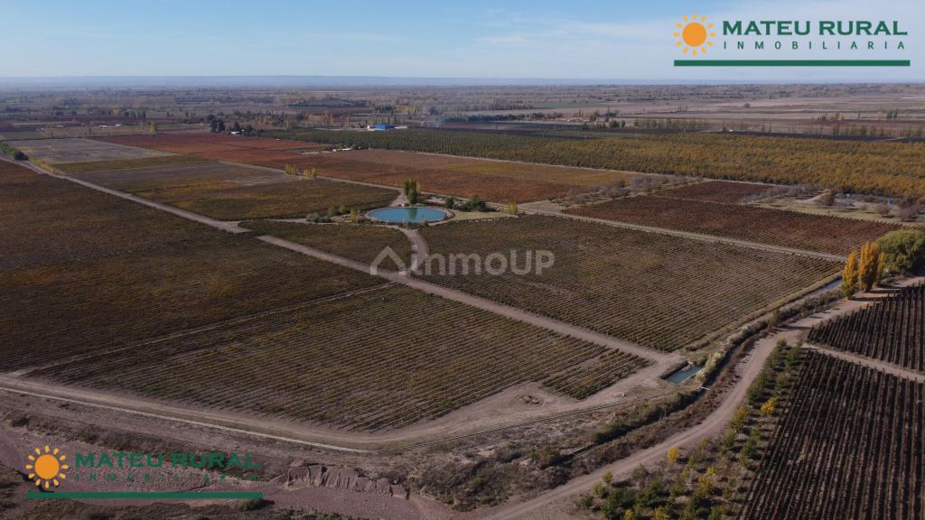 Finca en Venta en Tunuyan, Mendoza