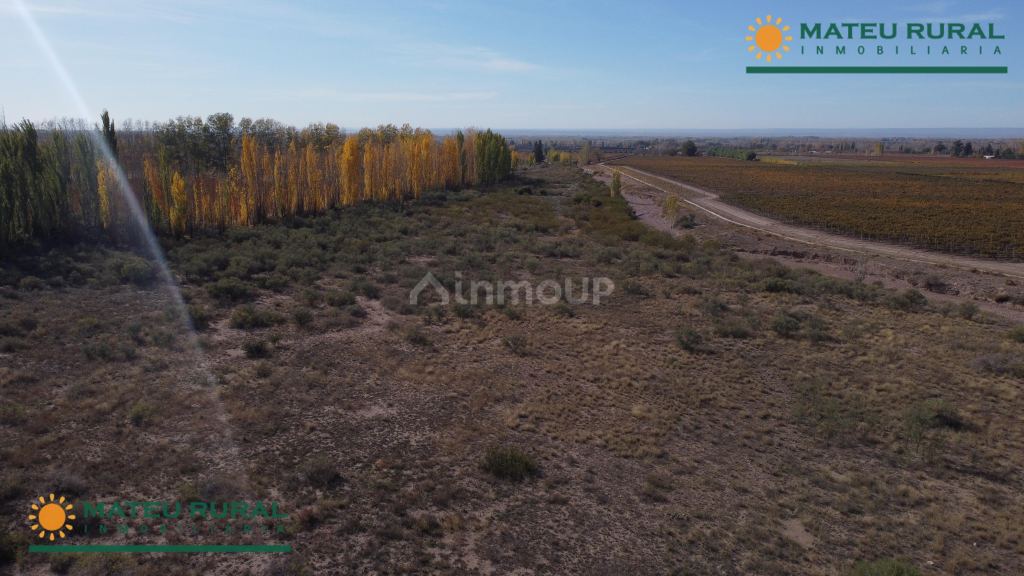 Finca en Venta en Tunuyan, Mendoza