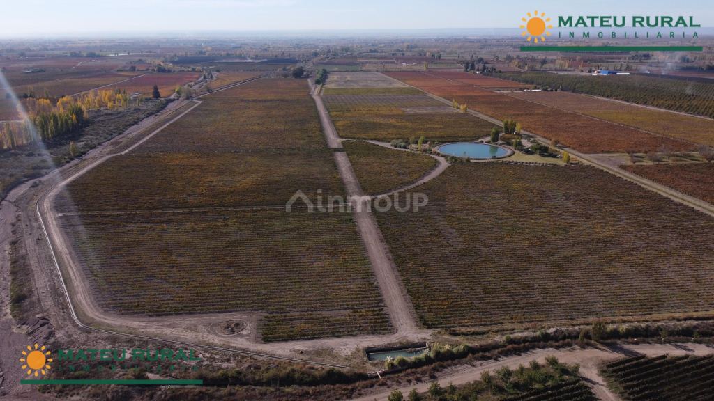 Finca en Venta en Tunuyan, Mendoza