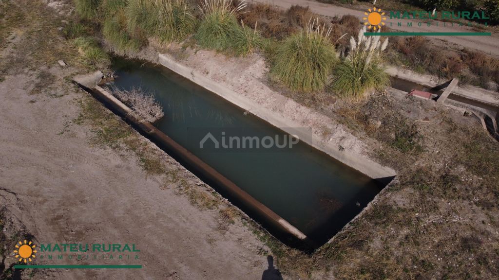Finca en Venta en Tunuyan, Mendoza