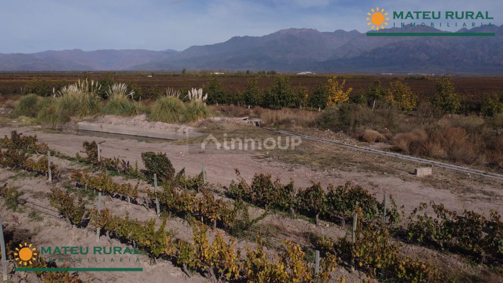 Finca en Venta en Tunuyan, Mendoza